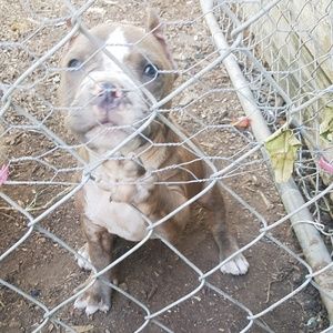 Meet your Posher, Federico